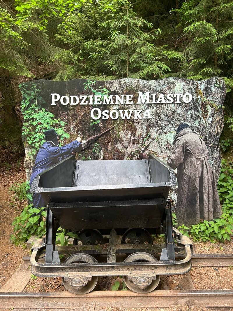 osowka